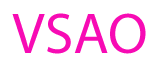 VIETNAMESE STUDENT ASSOCIATION OF GA, INC. logo